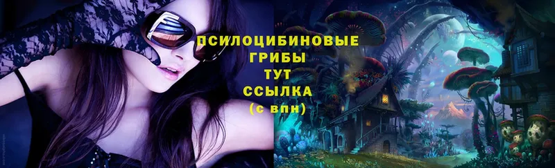 Псилоцибиновые грибы Magic Shrooms Алексеевка